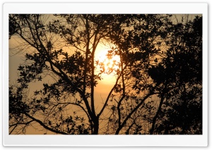 Sunrise at Mount. Lembing, Malaysia. Ultra HD Wallpaper for 4K UHD Widescreen desktop, tablet & smartphone