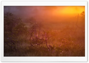 Sunrise At Valkmusa Ultra HD Wallpaper for 4K UHD Widescreen desktop, tablet & smartphone