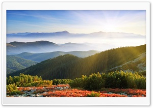 Sunrise Forest Mountains Ultra HD Wallpaper for 4K UHD Widescreen desktop, tablet & smartphone
