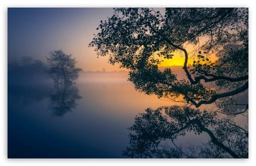 Sunrise Mist over the Lake UltraHD Wallpaper for UHD 16:9 ; HD 16:9 ; UltraWide 21:9 24:10 32:9 32:10 ; Widescreen 16:10 ; Tablet 1:1 ; Mobile 9:16 9:19.5 9:20 ; Dual 16:10 16:9 ;
