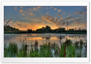 Sunrise Over a Pond in the Minnesota River National Wildlife Refuge Ultra HD Wallpaper for 4K UHD Widescreen desktop, tablet & smartphone