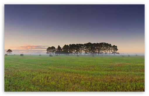 Sunrise Over Crop Field UltraHD Wallpaper for UHD 16:9 ; HD 16:9 ; UltraWide 32:9 32:10 ; Widescreen 16:10 5:3 ; Fullscreen 4:3 5:4 3:2 ; Tablet 1:1 ; Mobile 3:5 3:4 ; Dual 16:10 5:3 16:9 4:3 5:4 ;