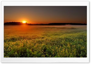 Sunrise Over The Flied Ultra HD Wallpaper for 4K UHD Widescreen desktop, tablet & smartphone