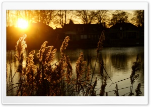 Sunset - Hengelo, The Netherlands Ultra HD Wallpaper for 4K UHD Widescreen desktop, tablet & smartphone