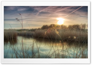 Sunset at Bieslandse Forest Ultra HD Wallpaper for 4K UHD Widescreen desktop, tablet & smartphone