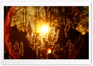 Sunset Flare Ultra HD Wallpaper for 4K UHD Widescreen desktop, tablet & smartphone