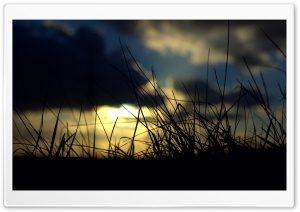 Sunset Grass Ultra HD Wallpaper for 4K UHD Widescreen desktop, tablet & smartphone