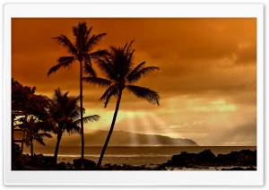 Sunset In The Tropics Ultra HD Wallpaper for 4K UHD Widescreen desktop, tablet & smartphone