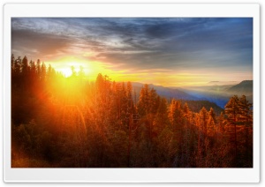 Sunset Over Forest In Yosemite Ultra HD Wallpaper for 4K UHD Widescreen desktop, tablet & smartphone