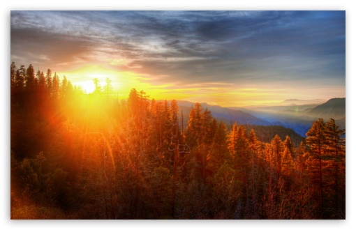 Sunset Over Forest In Yosemite UltraHD Wallpaper for UHD 16:9 2160p 1440p 1080p 900p 720p ; 8K UHD TV 16:9 Ultra High Definition 2160p 1440p 1080p 900p 720p ; UltraWide 32:9 32:10 ; Widescreen 16:10 5:3 WHXGA WQXGA WUXGA WXGA WGA ; Fullscreen 4:3 5:4 3:2 UXGA XGA SVGA QSXGA SXGA DVGA HVGA HQVGA ( Apple PowerBook G4 iPhone 4 3G 3GS iPod Touch ) ; Tablet 1:1 ; Mobile 3:5 3:4 - ; Dual 16:10 5:3 16:9 4:3 5:4 WHXGA WQXGA WUXGA WXGA WGA 2160p 1440p 1080p 900p 720p UXGA XGA SVGA QSXGA SXGA ;