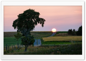 Sunset, Road, Nature Photography Ultra HD Wallpaper for 4K UHD Widescreen desktop, tablet & smartphone