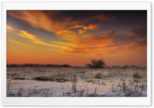 Sunset Sky, Winter Ultra HD Wallpaper for 4K UHD Widescreen desktop, tablet & smartphone