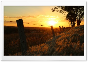 Sunset Through Barbed Wire-Warwick QLD Ultra HD Wallpaper for 4K UHD Widescreen desktop, tablet & smartphone