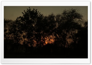 Sunset view 4K UHD Wallpaper for Widescreen and UltraWide Desktop, UltraHD TV, Smartphone, Tablet