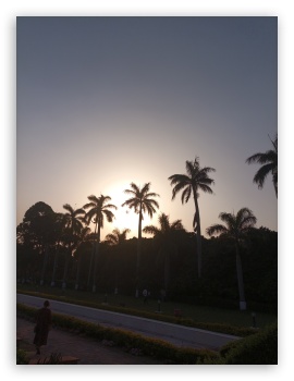 Sunset view UltraHD Wallpaper for Mobile 3:4 ;