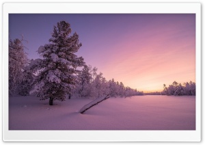 Sunset Winter Snow Ultra HD Wallpaper for 4K UHD Widescreen Desktop, Lockscreen, Screensaver, TV, Tablet, Smartphone