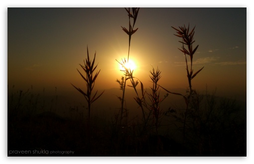 sunshine UltraHD Wallpaper for Widescreen 16:10 ;