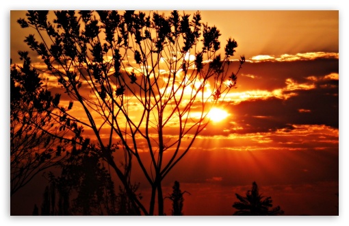 Sunshine UltraHD Wallpaper for HD 16:9 ; Widescreen 16:10 5:3 ; Fullscreen 4:3 ;