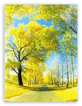 Sunshine UltraHD Wallpaper for Mobile 3:4 ;
