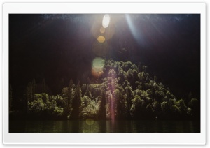 Sunshine, Forest Trees, Lake Ultra HD Wallpaper for 4K UHD Widescreen desktop, tablet & smartphone