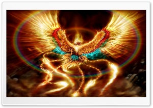 super fiery bird 4K UHD Wallpaper for Widescreen and UltraWide Desktop, UltraHD TV, Smartphone, Tablet