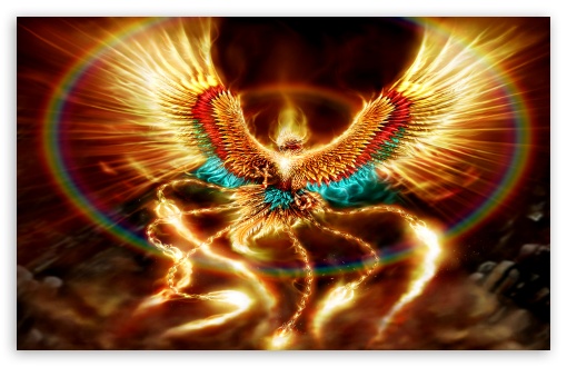 super fiery bird UltraHD Wallpaper for Widescreen 16:10 ;