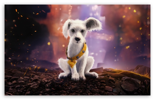 Supergirl Movie Krypto UltraHD Wallpaper for UHD 16:9 ; HD 16:9 ; UltraWide 21:9 24:10 ; Widescreen 16:10 5:3 ; Fullscreen 4:3 5:4 3:2 ; Tablet 1:1 ; Mobile 9:16 9:19.5 9:20 10:16 2:3 3:5 3:4 ; Dual 4:3 5:4 ;