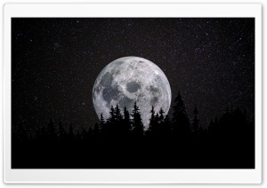 Supermoon Night Ultra HD Wallpaper for 4K UHD Widescreen desktop, tablet & smartphone