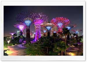 Supertree Grove Evening Light Show, Gardens by the Bay 4K UHD Wallpaper for Widescreen and UltraWide Desktop, UltraHD TV, Smartphone, Tablet
