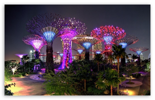 Supertree Grove Evening Light Show, Gardens by the Bay UltraHD Wallpaper for UHD 16:9 ; HD 16:9 ; UltraWide 21:9 24:10 32:9 32:10 ; Widescreen 16:10 5:3 ; Fullscreen 4:3 5:4 3:2 ; Tablet 1:1 ; Dual 16:10 5:3 16:9 4:3 5:4 3:2 ;