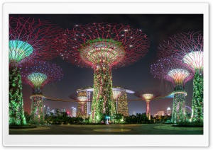 Supertree Grove, Gardens by the Bay 4K UHD Wallpaper for Widescreen and UltraWide Desktop, UltraHD TV, Smartphone, Tablet