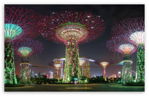Supertree Grove, Gardens by the Bay UltraHD Wallpaper for UHD 16:9 ; HD 16:9 ; UltraWide 21:9 24:10 32:9 32:10 ; Widescreen 16:10 5:3 ; Fullscreen 4:3 5:4 3:2 ; Tablet 1:1 ; Dual 16:10 5:3 16:9 4:3 5:4 3:2 ;