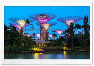 Supertree Grove, Gardens by the Bay, Singapore Ultra HD Wallpaper for 4K UHD Widescreen desktop, tablet & smartphone