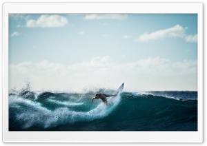 Surfing Ultra HD Wallpaper for 4K UHD Widescreen desktop, tablet & smartphone