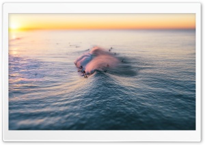 Surfing, Wave, Pacific Ocean, California Ultra HD Wallpaper for 4K UHD Widescreen desktop, tablet & smartphone