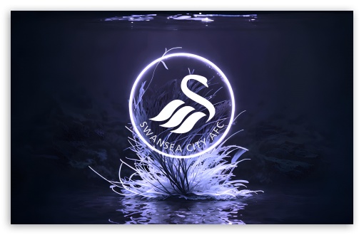Swansea City AFC UltraHD Wallpaper for UHD 16:9 ; HD 16:9 ; Widescreen 16:10 5:3 ;