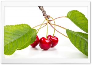 Sweet Red Cherries Branch Ultra HD Wallpaper for 4K UHD Widescreen desktop, tablet & smartphone