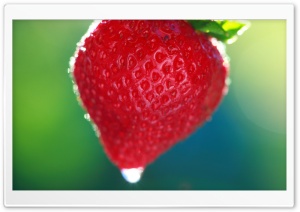 Sweet Summer Strawberry Ultra HD Wallpaper for 4K UHD Widescreen desktop, tablet & smartphone