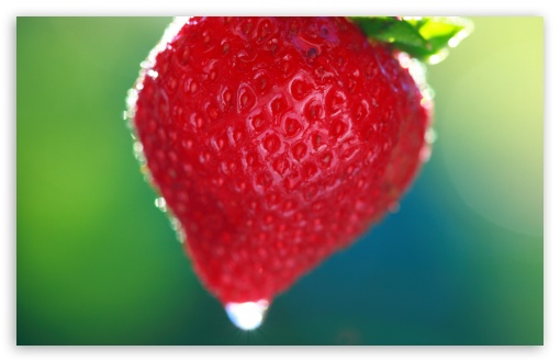 Sweet Summer Strawberry UltraHD Wallpaper for Wide 16:10 5:3 Widescreen WHXGA WQXGA WUXGA WXGA WGA ; 8K UHD TV 16:9 Ultra High Definition 2160p 1440p 1080p 900p 720p ; Standard 4:3 5:4 3:2 Fullscreen UXGA XGA SVGA QSXGA SXGA DVGA HVGA HQVGA ( Apple PowerBook G4 iPhone 4 3G 3GS iPod Touch ) ; Tablet 1:1 ; iPad 1/2/Mini ; Mobile 4:3 5:3 3:2 16:9 5:4 - UXGA XGA SVGA WGA DVGA HVGA HQVGA ( Apple PowerBook G4 iPhone 4 3G 3GS iPod Touch ) 2160p 1440p 1080p 900p 720p QSXGA SXGA ;