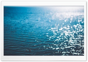 Swimming Ultra HD Wallpaper for 4K UHD Widescreen desktop, tablet & smartphone