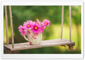 Swing And Flowers Ultra HD Wallpaper for 4K UHD Widescreen desktop, tablet & smartphone
