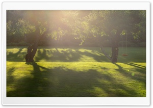 Swing, Trees, Garden, Summer Ultra HD Wallpaper for 4K UHD Widescreen desktop, tablet & smartphone