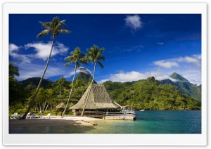 Tahiti Island Ultra HD Wallpaper for 4K UHD Widescreen desktop, tablet & smartphone