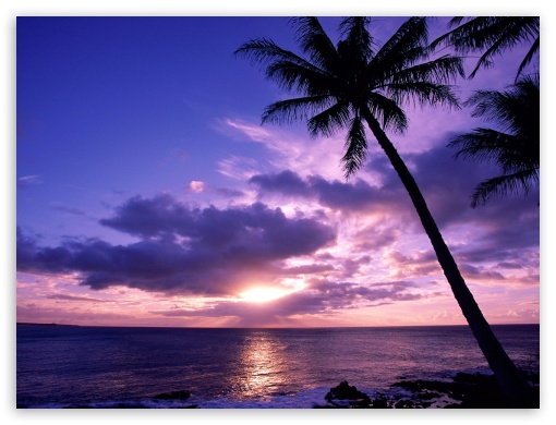 Tahitian Paradise UltraHD Wallpaper for Standard 4:3 Fullscreen UXGA XGA SVGA ; iPad 1/2/Mini ; Mobile 4:3 - UXGA XGA SVGA ;