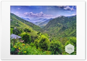 Take A Look After Rain 4K UHD Wallpaper for Widescreen and UltraWide Desktop, UltraHD TV, Smartphone, Tablet