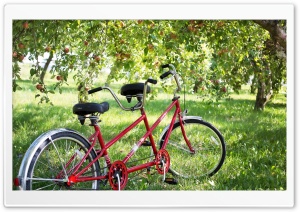 Tandem Bike Ultra HD Wallpaper for 4K UHD Widescreen desktop, tablet & smartphone