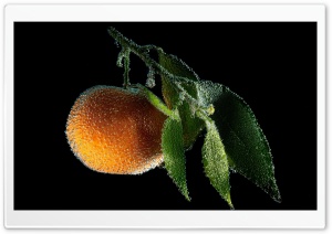 Tangerine Fruit Underwater Ultra HD Wallpaper for 4K UHD Widescreen desktop, tablet & smartphone
