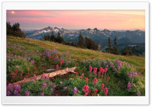 Tatoosh Range Mount Rainier Washington Ultra HD Wallpaper for 4K UHD Widescreen desktop, tablet & smartphone
