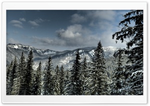 Tatra Mountains Ultra HD Wallpaper for 4K UHD Widescreen desktop, tablet & smartphone