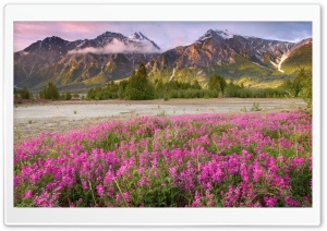 Tatshenshini Alsek Wilderness British Columbia Canada Ultra HD Wallpaper for 4K UHD Widescreen desktop, tablet & smartphone